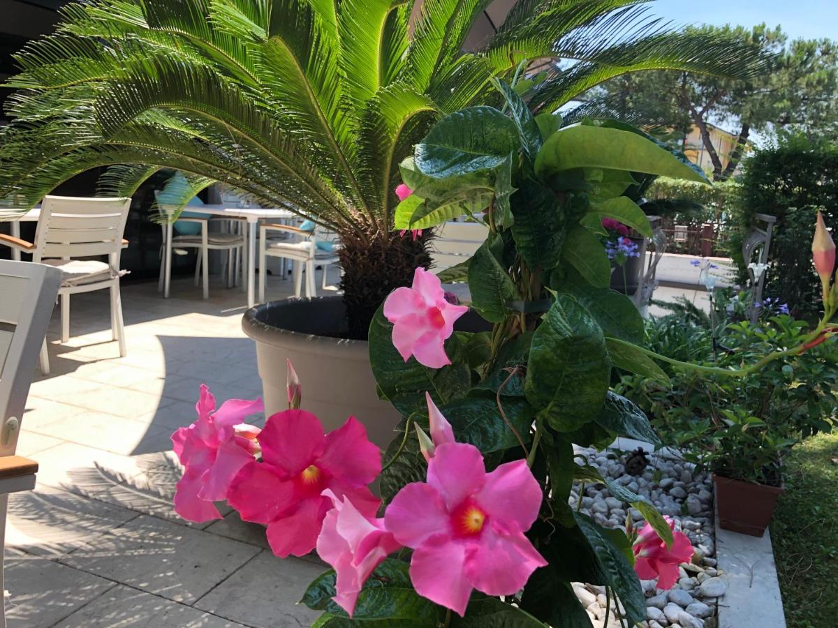 Hotel International Σιρμιόνε Εξωτερικό φωτογραφία