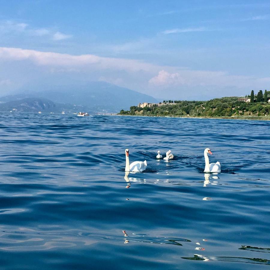 Hotel International Σιρμιόνε Εξωτερικό φωτογραφία
